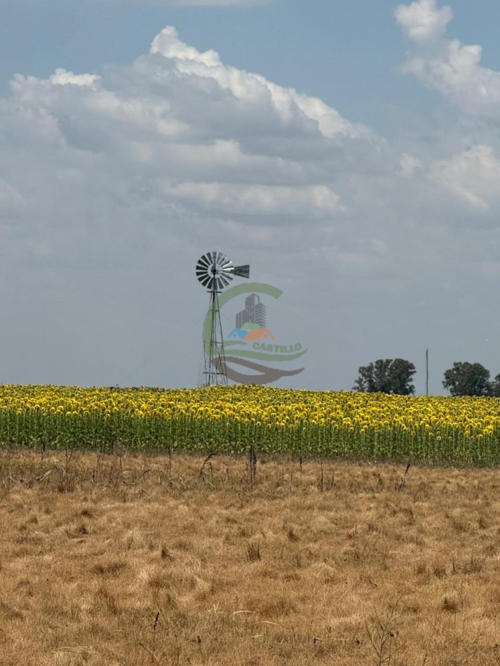 150 Ha Mixto - Urdampilleta - Bolivar