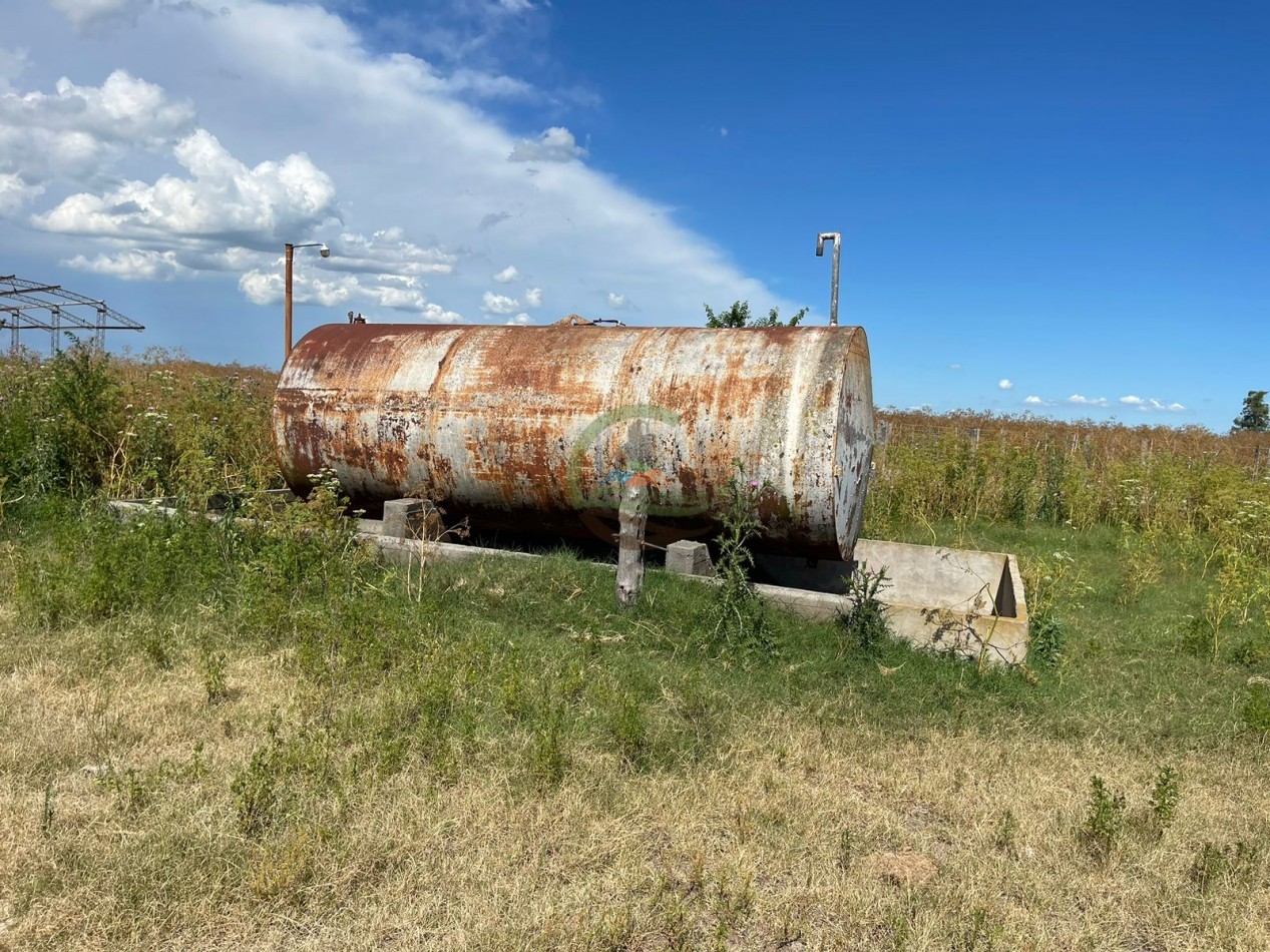 109 ha Feed Lot - Las Flores