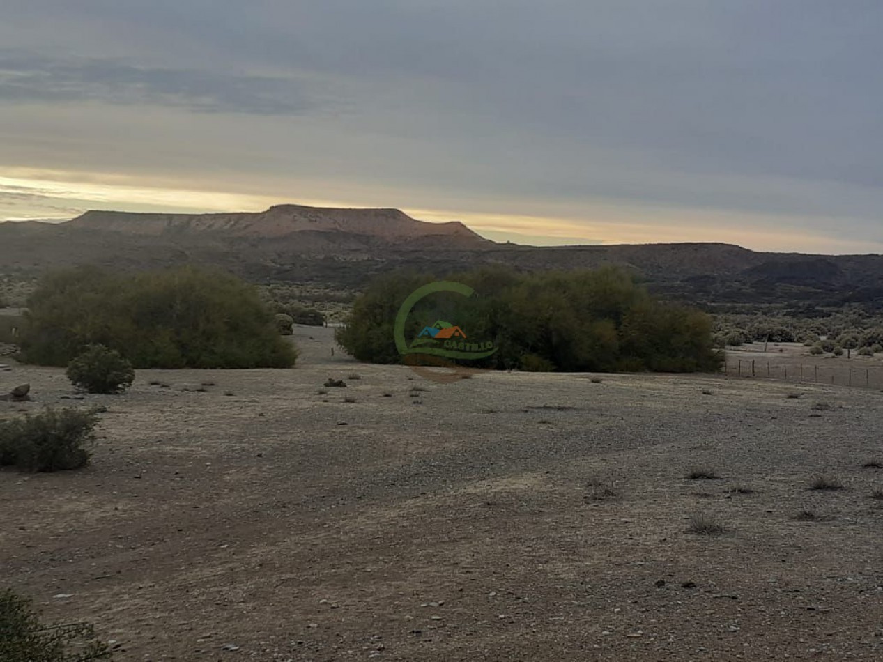 59000 ha Ganadero - Chubut