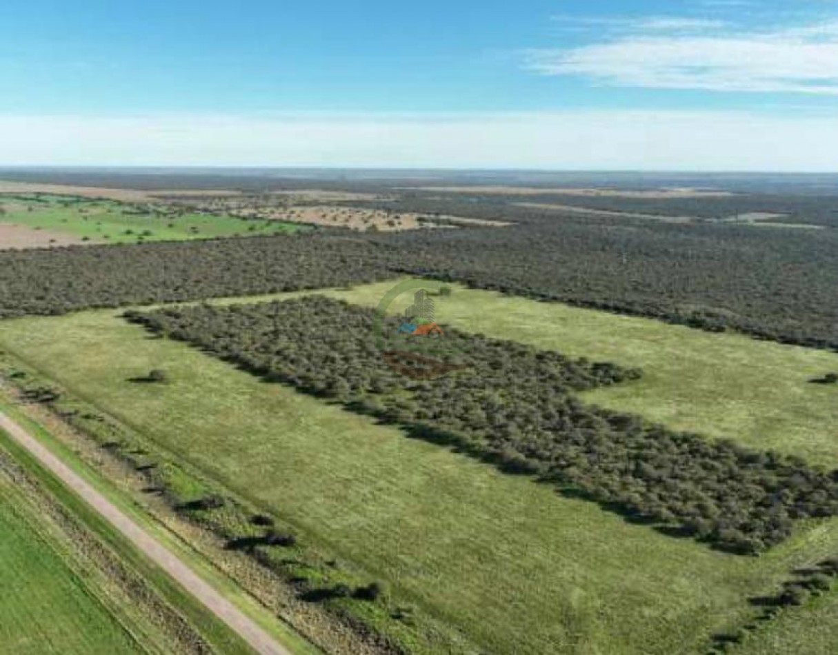 3780 Ha Mixto - Alpachiri - Guatrache - La Pampa