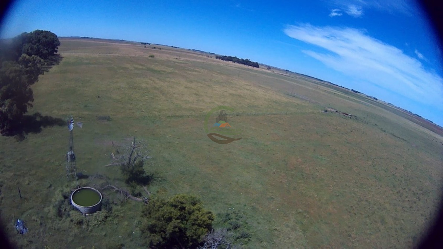 302 Ha Ganadero - Comandante Giribone - Chascomus