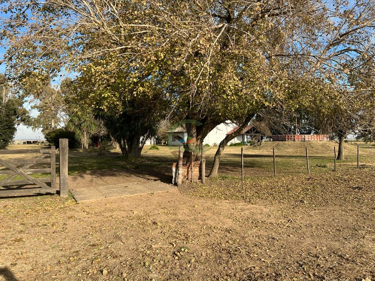 377 Ha Agricolas - San Miguel del Monte 