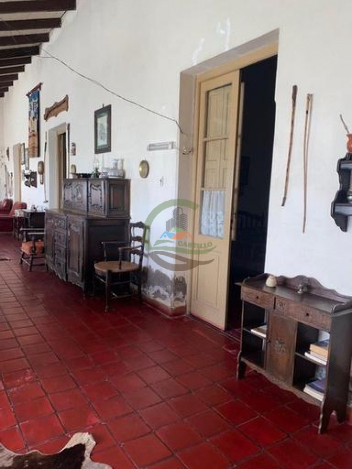 907 Ha Ganadero - Espigas - Olavarria