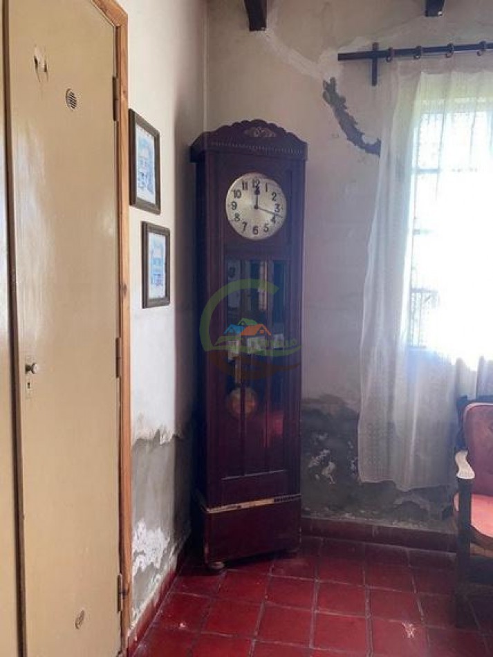 907 Ha Ganadero - Espigas - Olavarria