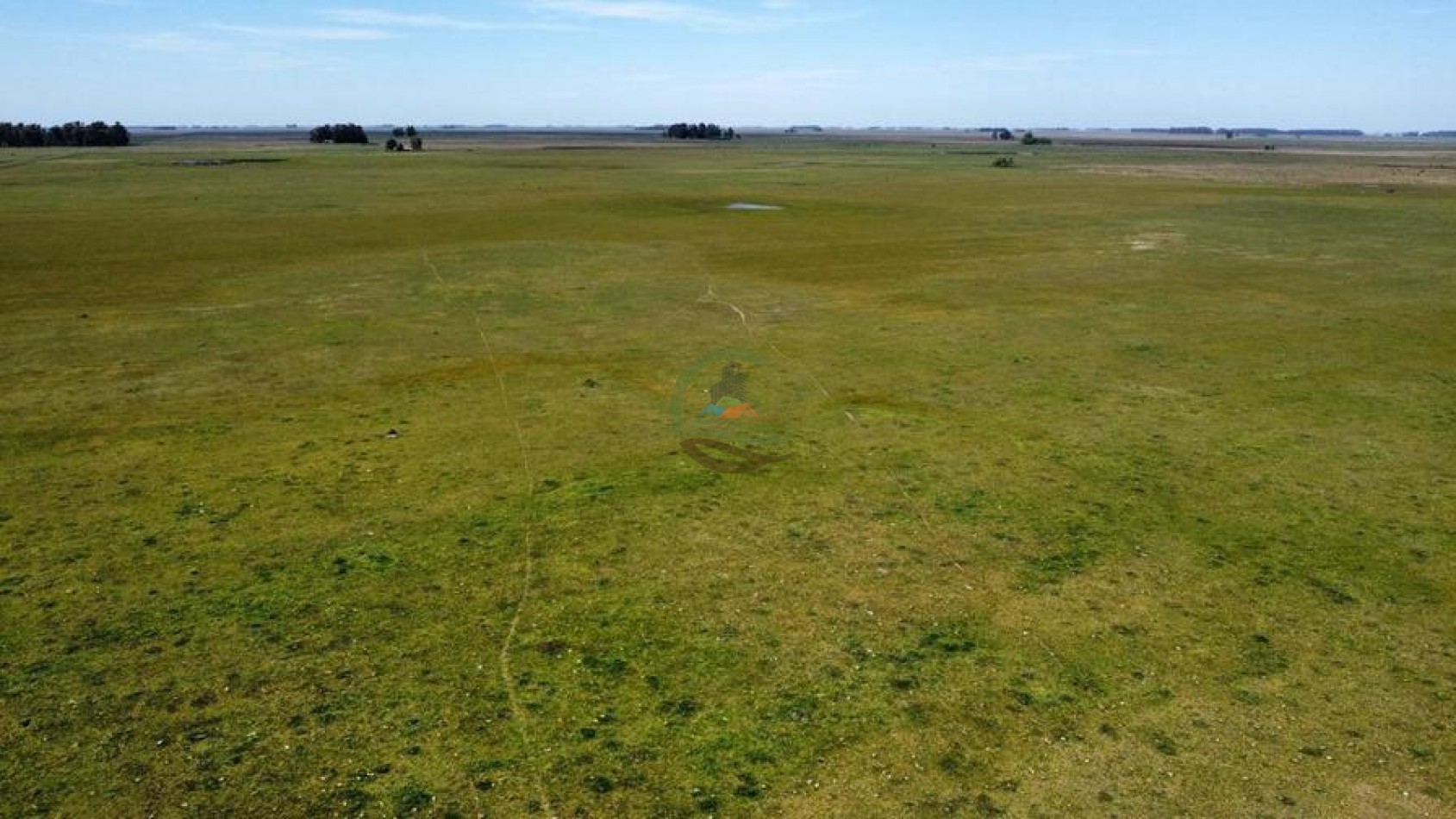 227 Ha Mixto - Rauch