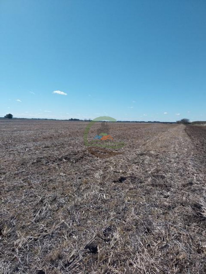 1104 Ha Agricolas - San Miguel del Monte