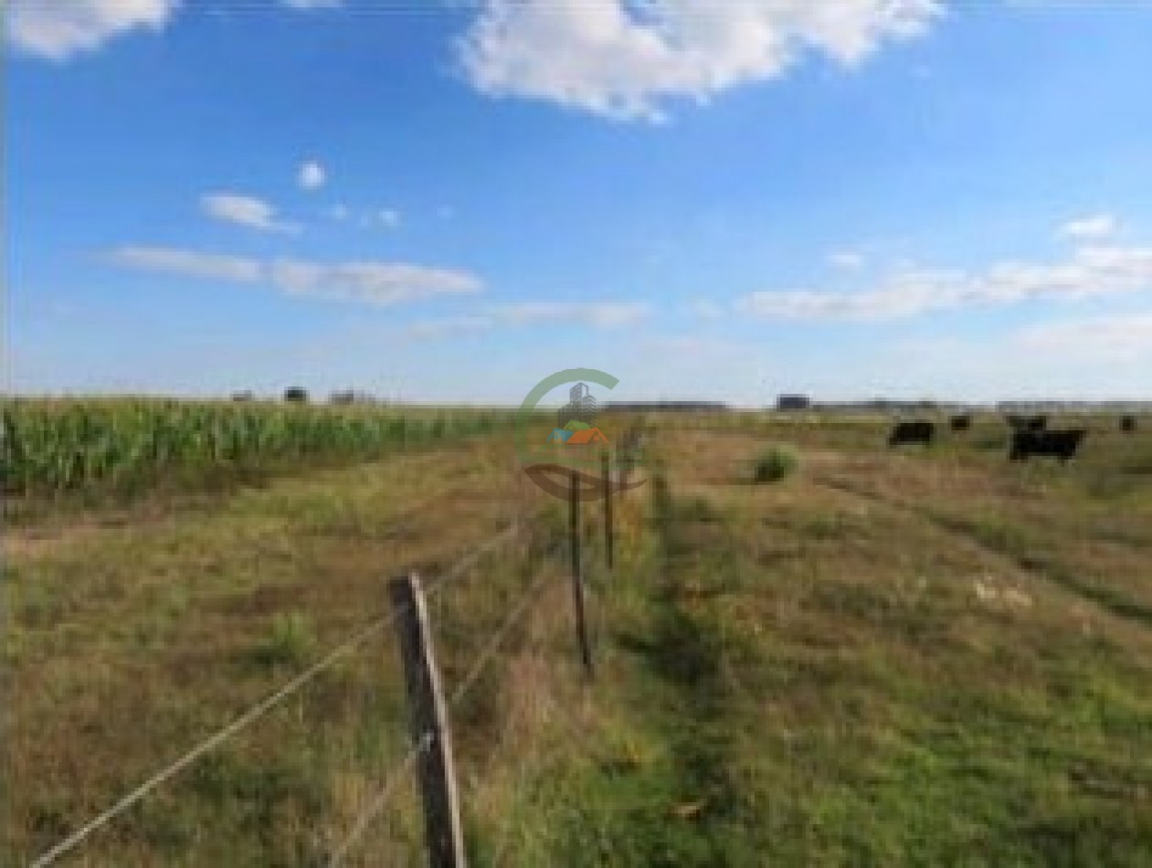 342 Ha Mixtas - San Miguel del Monte