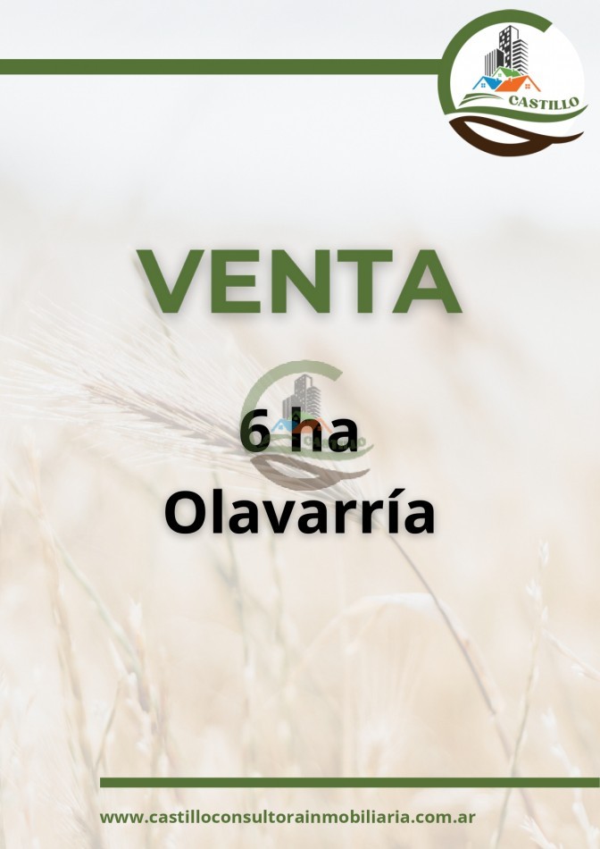 6 ha mixtas - olavarria