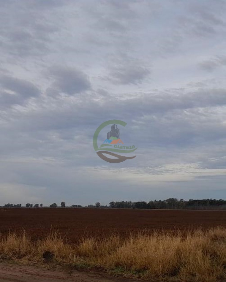 250 Ha Agricolas - Roberts - Lincoln