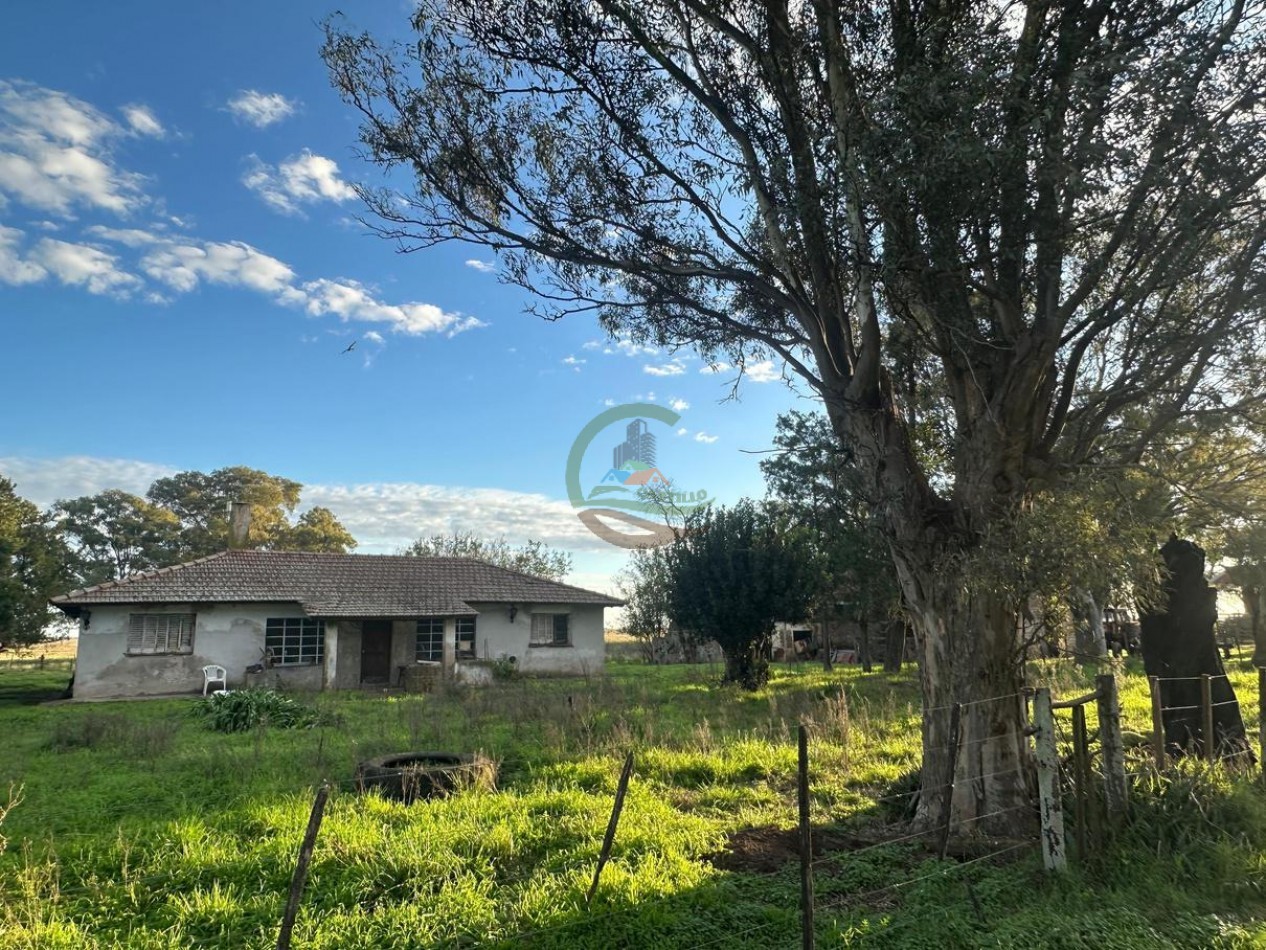 114 Ha Mixto - La Delfina - General Viamonte
