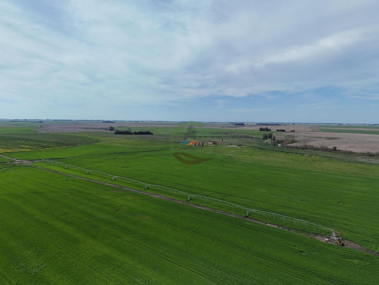 520 Ha Mixtas - Necochea