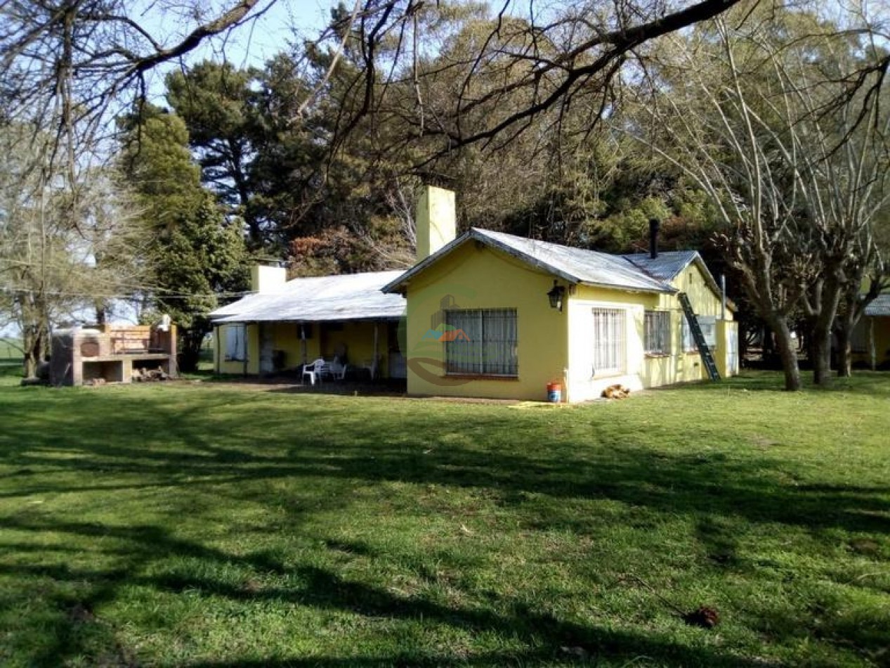 242 Ha - Mixto - Mechongue