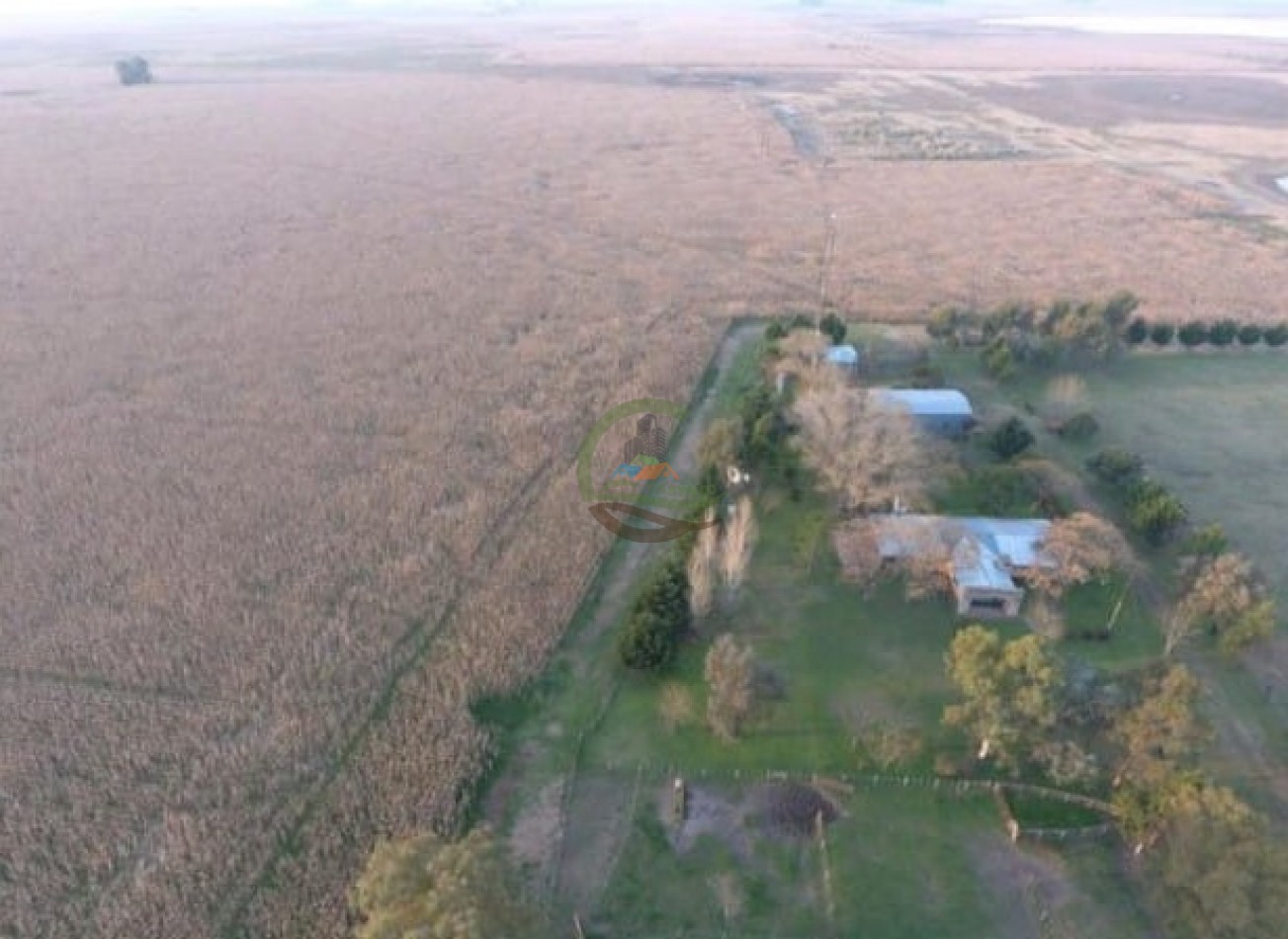 342 Ha Mixtas - San Miguel del Monte