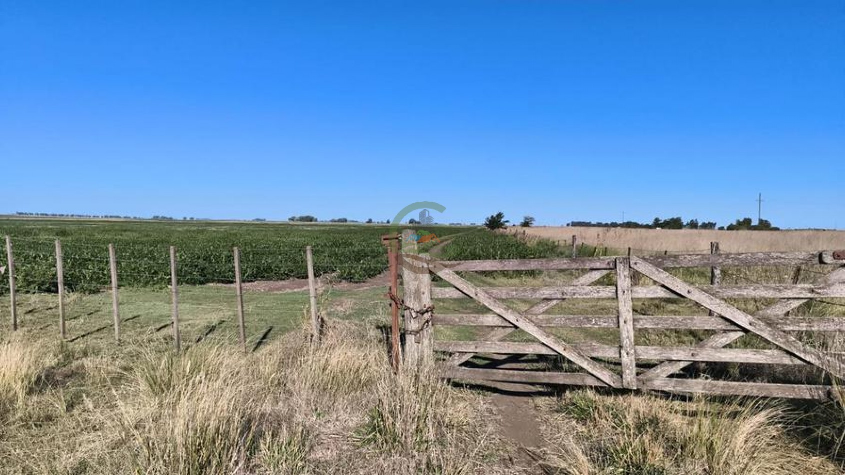 248 Ha Agricolas - Tedin Uriburu - Benito Juarez