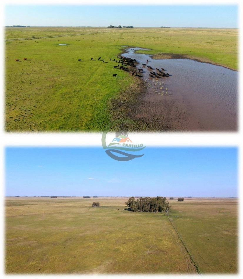 438 Ha Ganadero - Crotto - Tapalque