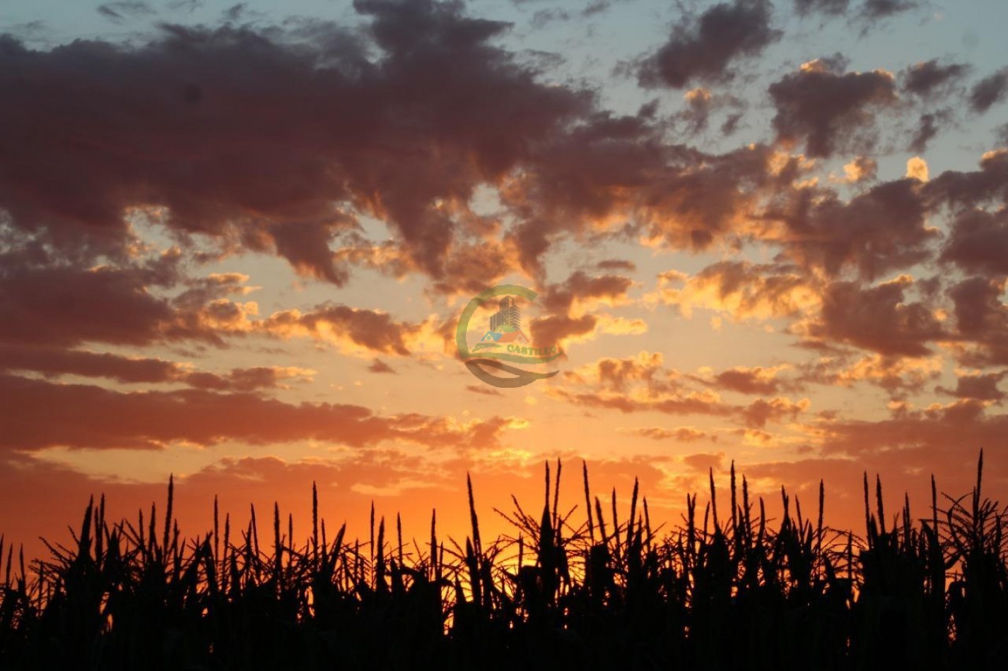 30 ha Agricolas - Pergamino