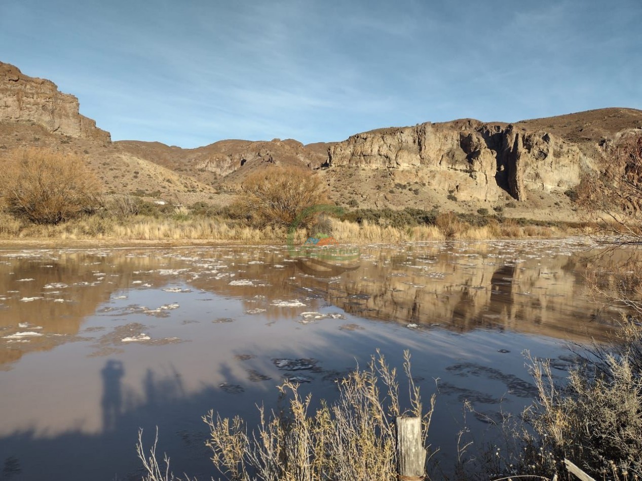 59000 ha Ganadero - Chubut