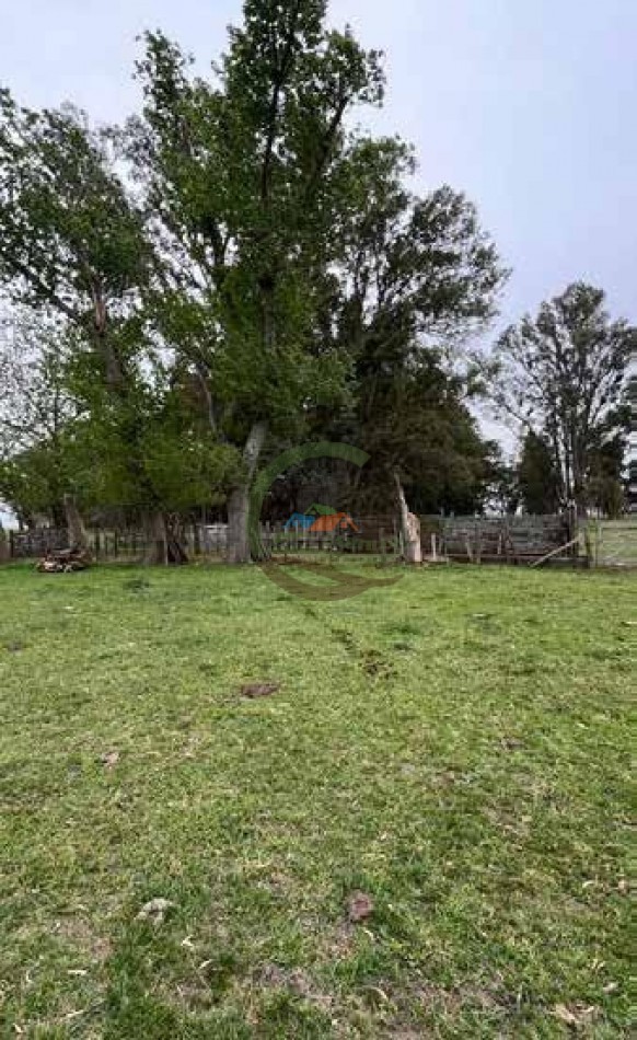 265 Ha Ganadero - Harosteguy - Las Flores