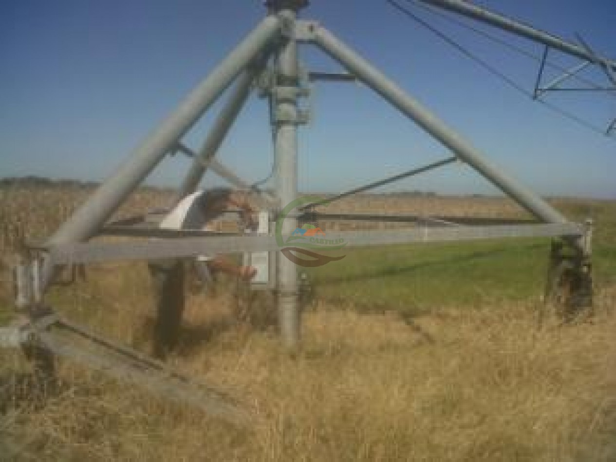 1335 Ha Agricolas - Torres - Lujan