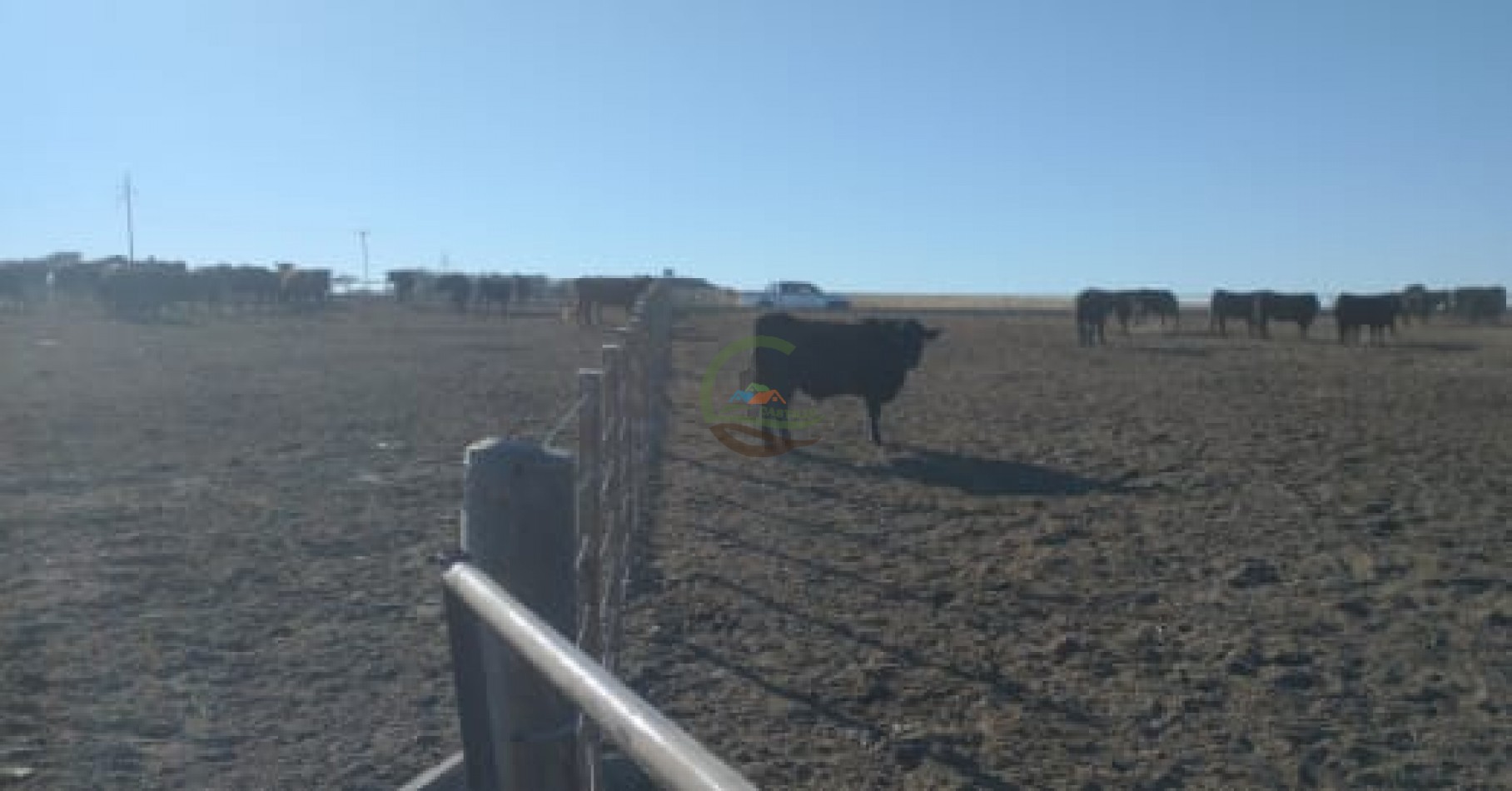 500 Ha Mixtas - Gobernador Dupuy - San Luis