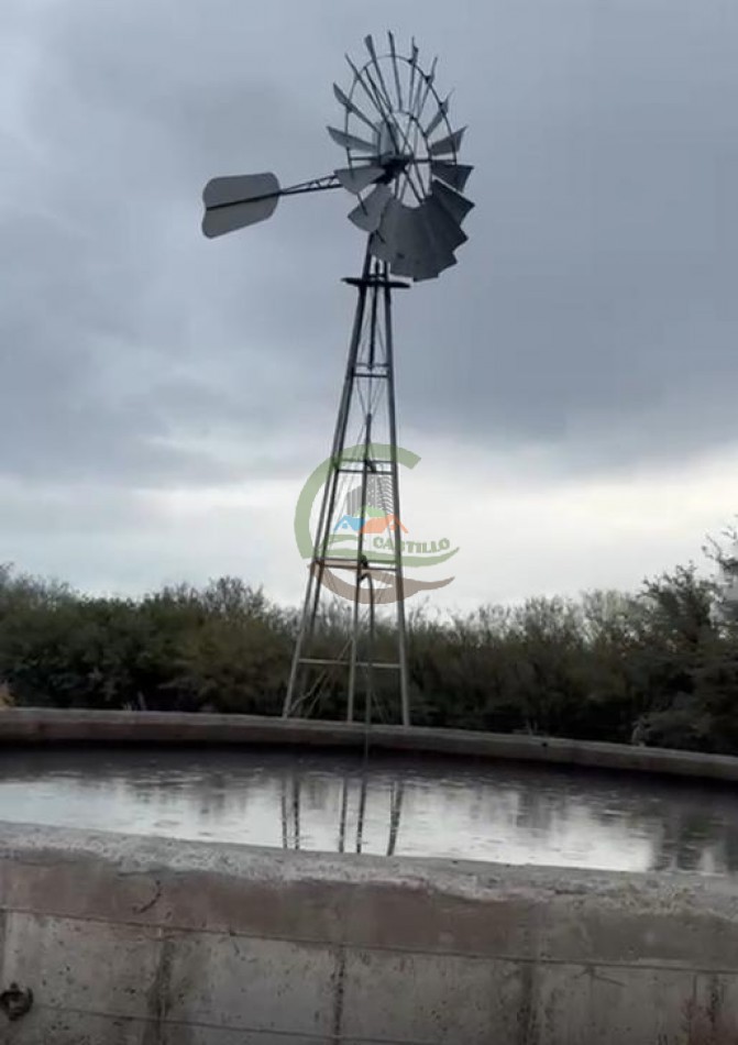 5117 Ha Ganadero - La Adela - La Pampa