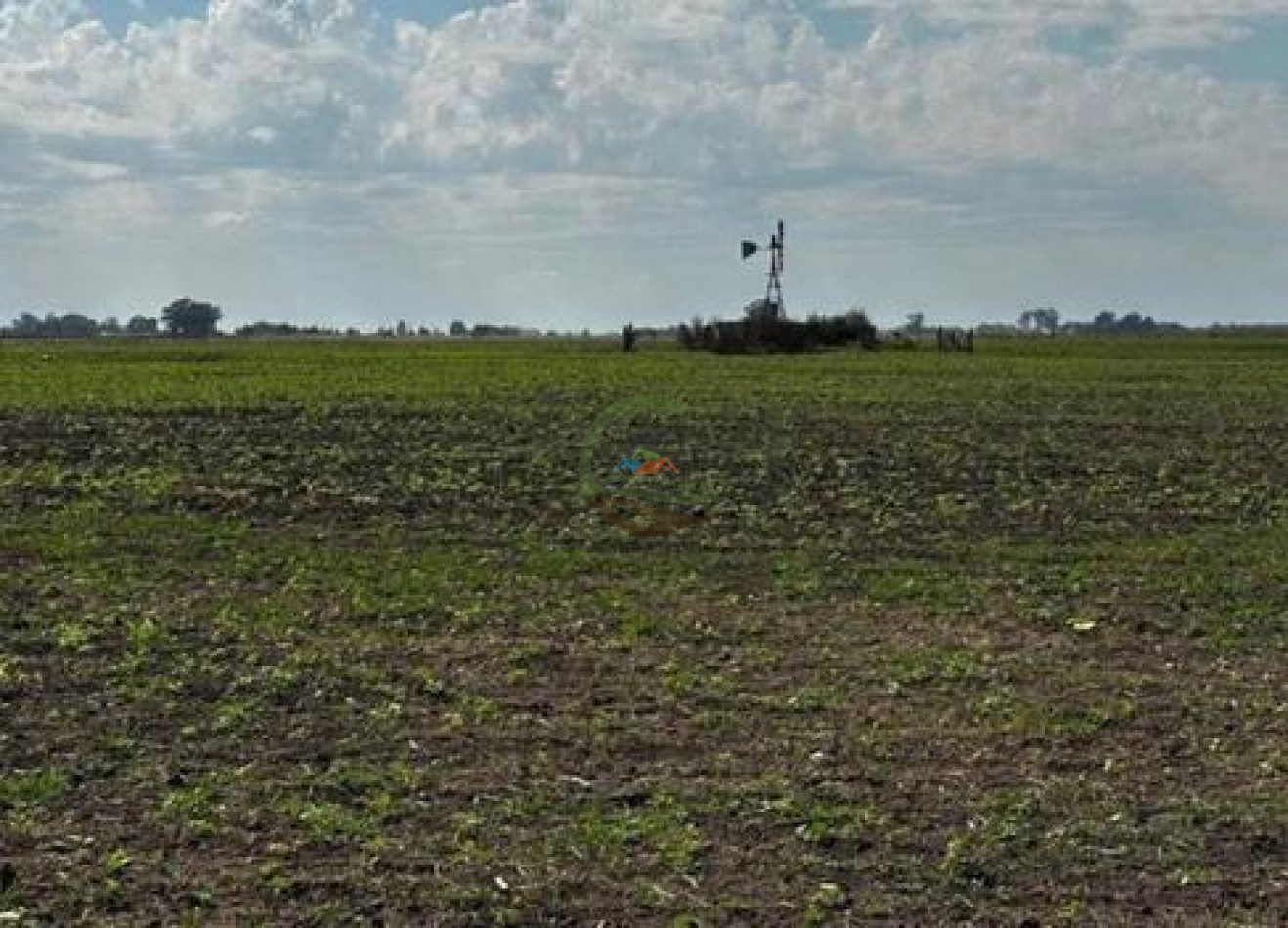 401 Ha Mixto - Lezama