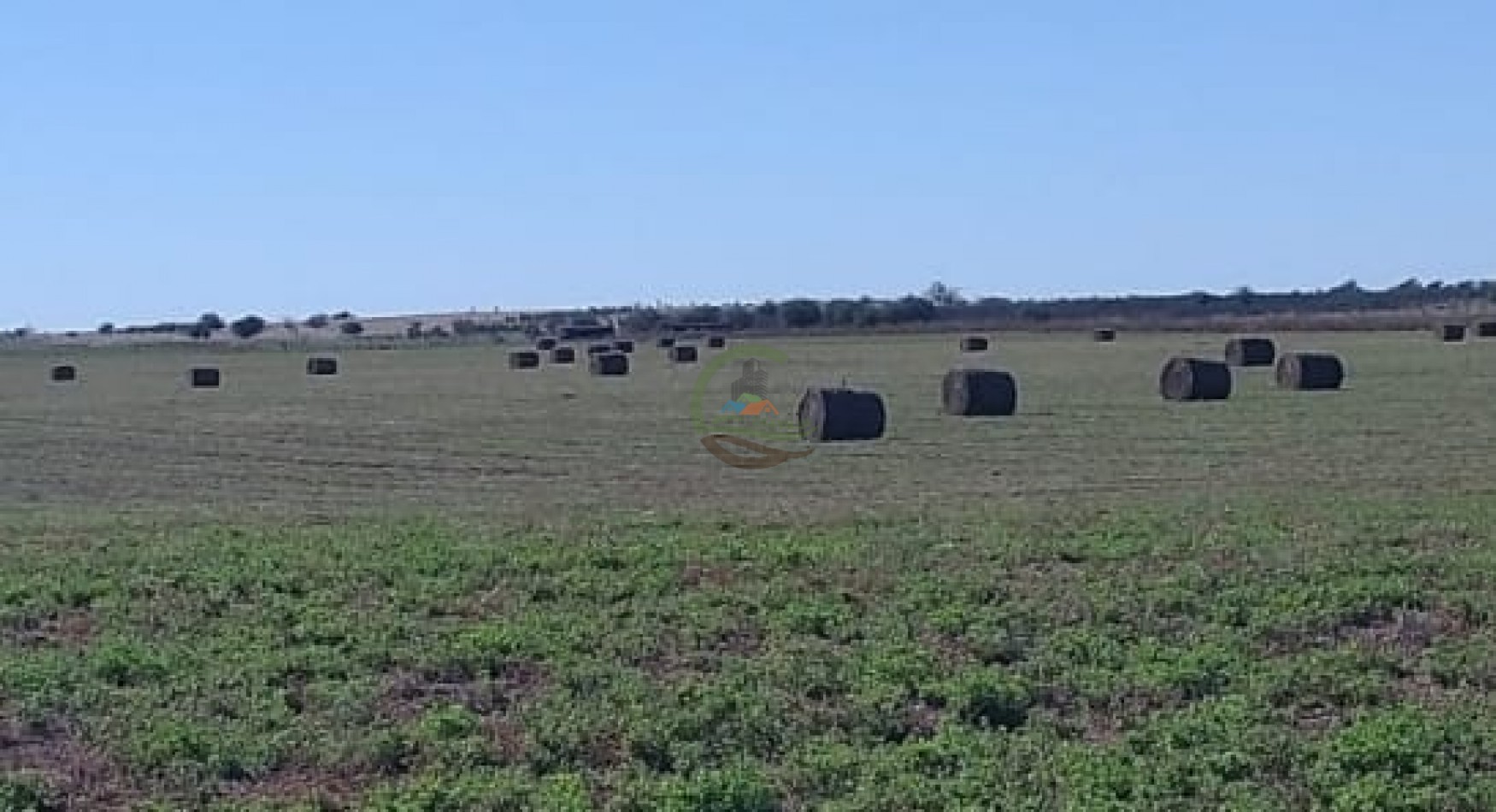500 Ha Mixtas - Gobernador Dupuy - San Luis