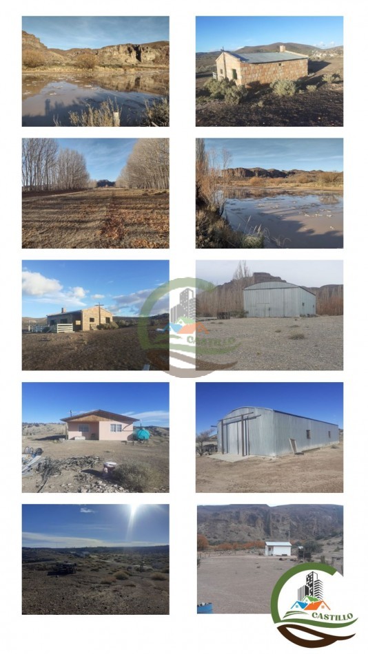59000 ha Ganadero - Chubut
