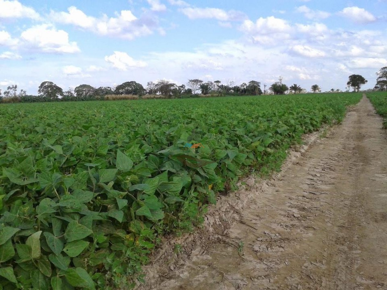 1438 Ha Agricolas - Malbran - Santiago del Estero.