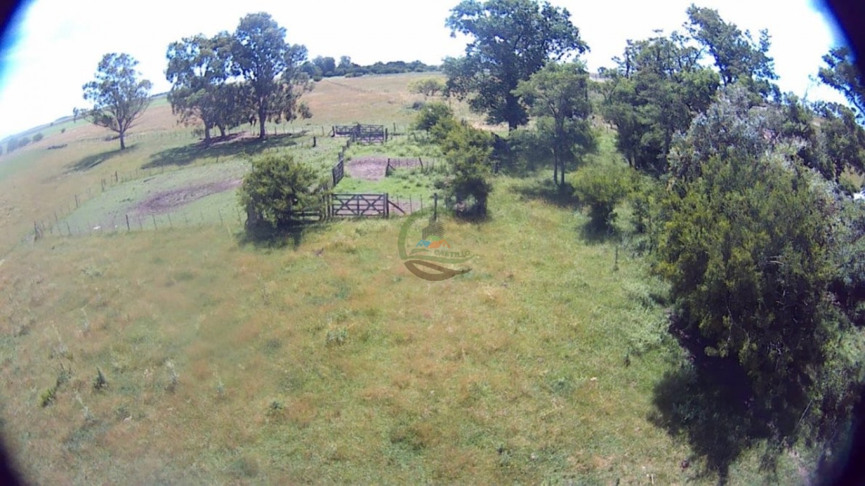 302 Ha Ganadero - Comandante Giribone - Chascomus