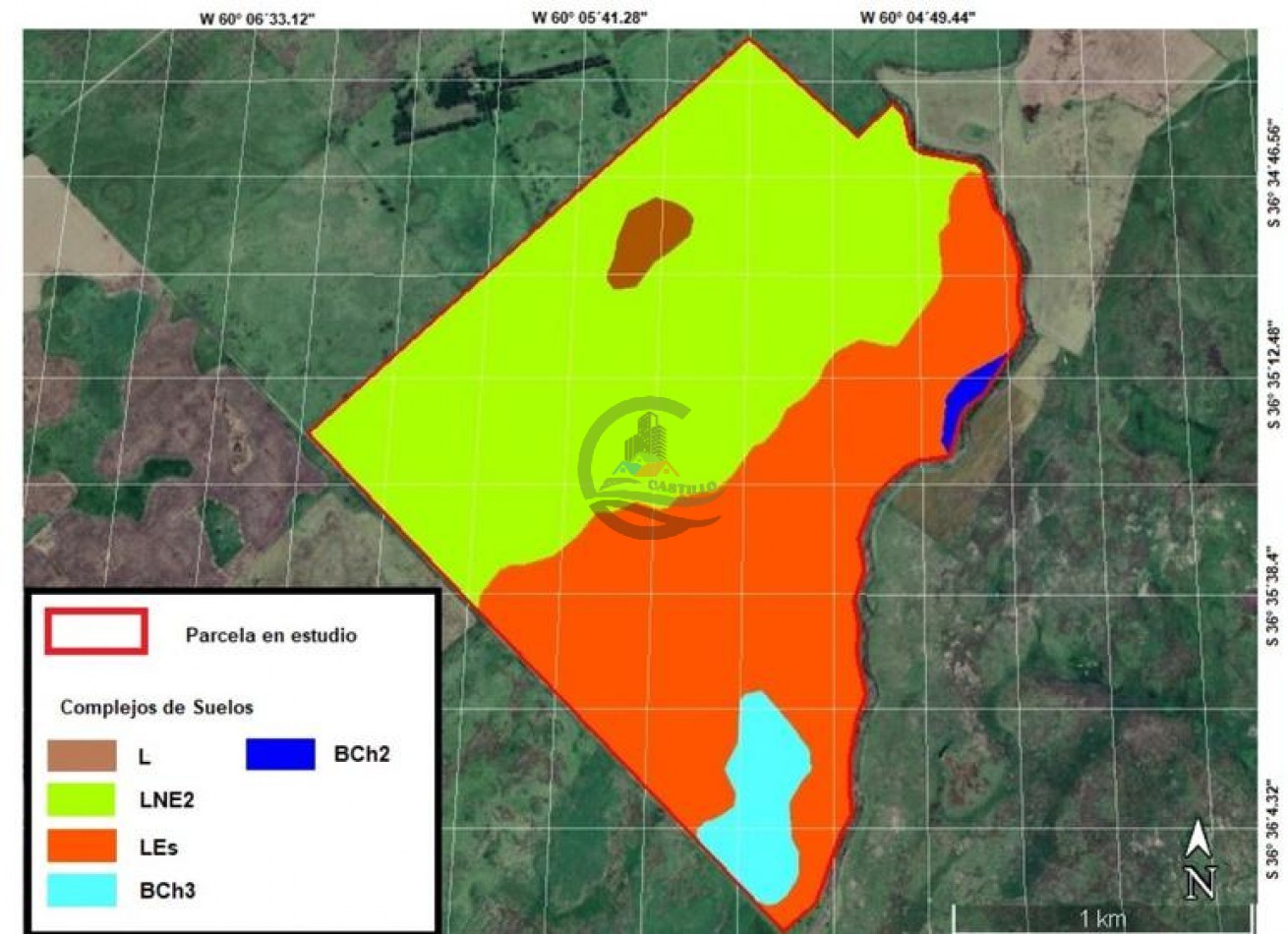 440 Ha Mixta - Crotto - Tapalque
