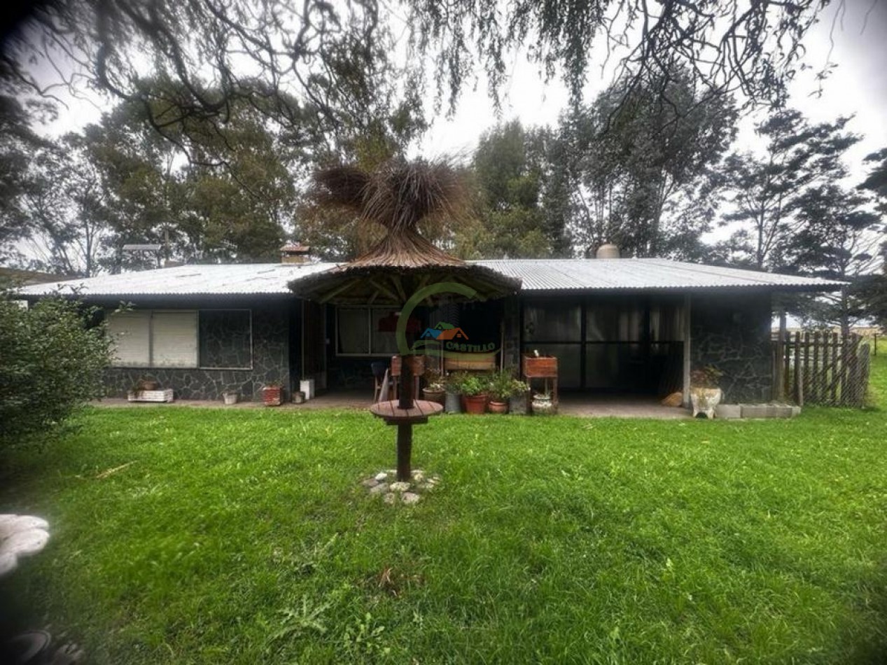 333 Ha Mixto - Balcarce