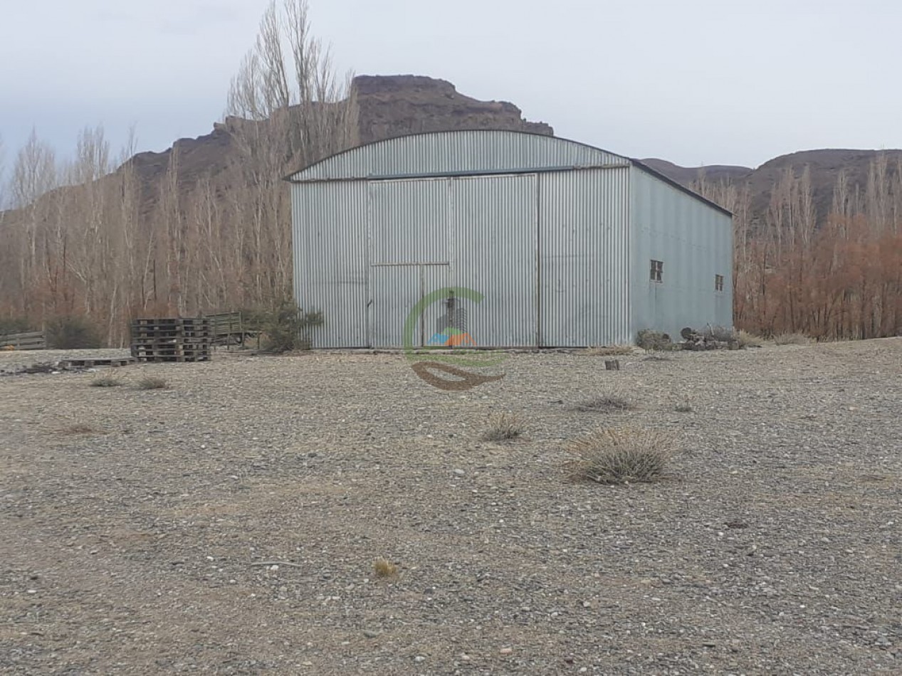59000 ha Ganadero - Chubut