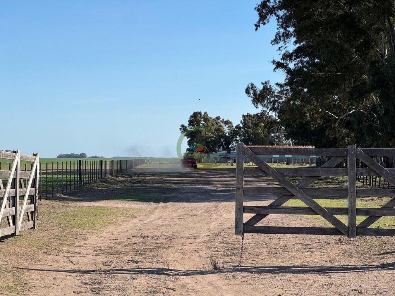 809 Ha Agricolas - Coronel Dorrego