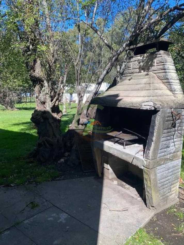 907 Ha Ganadero - Espigas - Olavarria