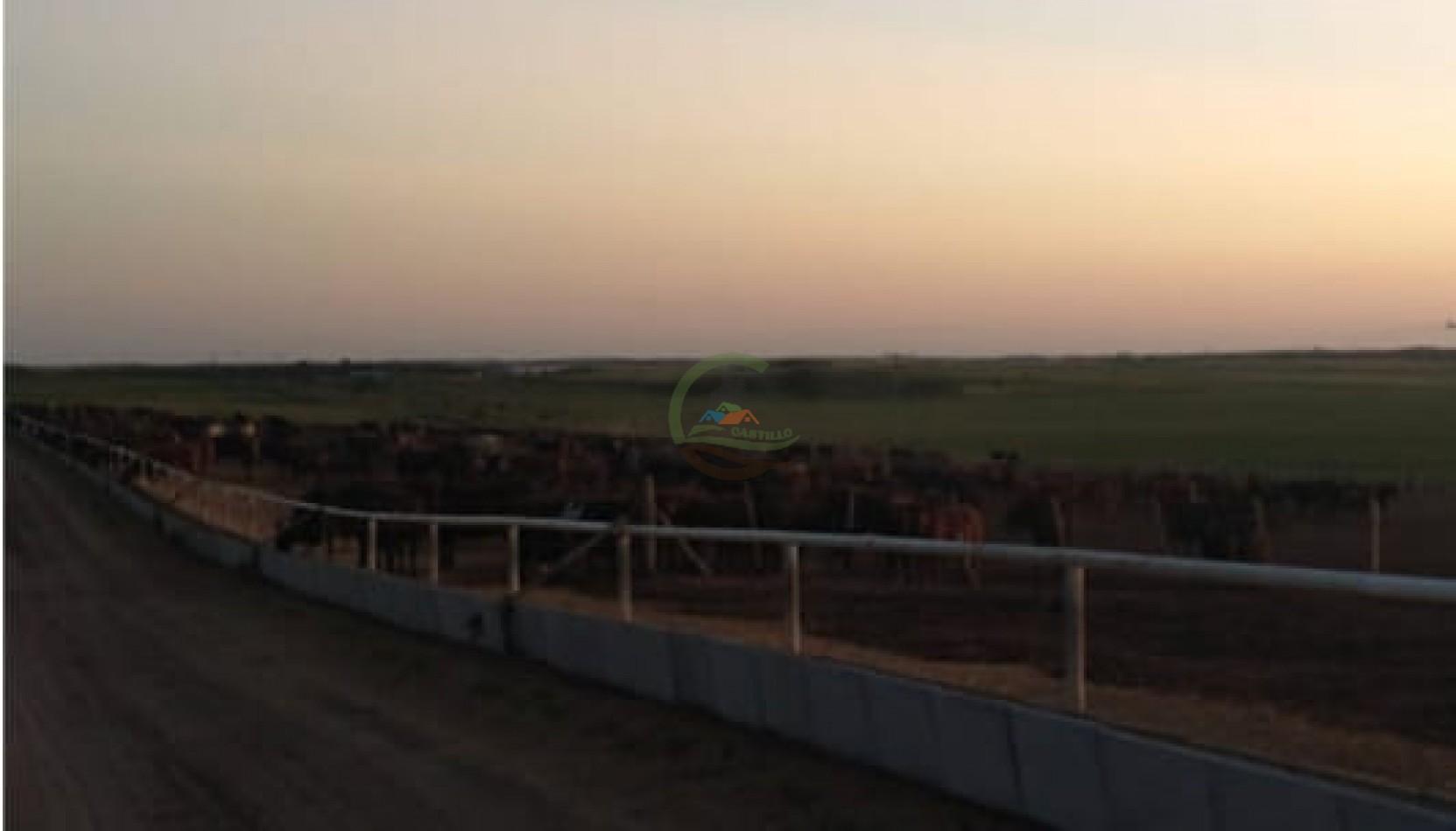 500 Ha Mixtas - Gobernador Dupuy - San Luis