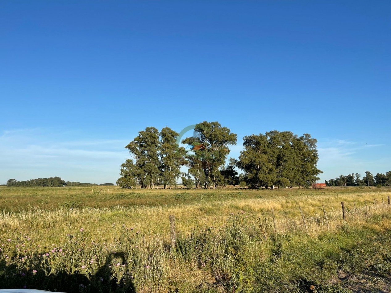 18 ha Mixtos - Pedernales