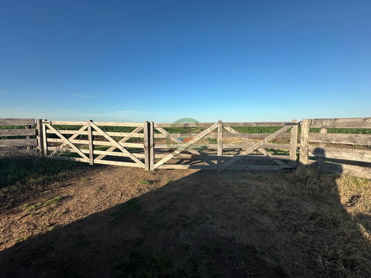 262 Ha Agricolas - Gonzalez Moreno - Rivadavia