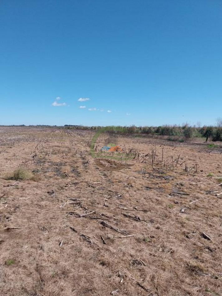 1104 Ha Agricolas - San Miguel del Monte