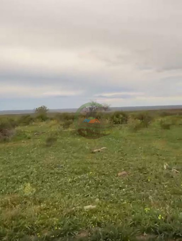 5117 Ha Ganadero - La Adela - La Pampa