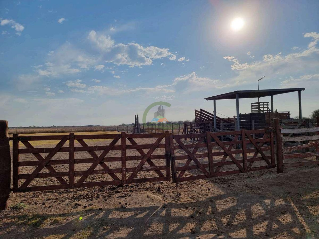 400 Ha Ganaderas - Gregoria Perez de Denis - Santa Fe
