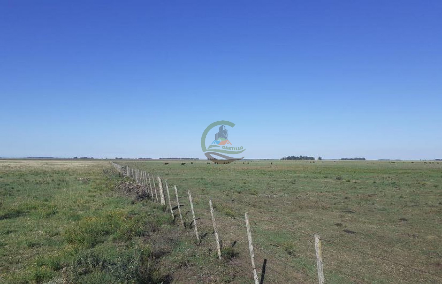 338 Ha Mixto - San Cayetano 