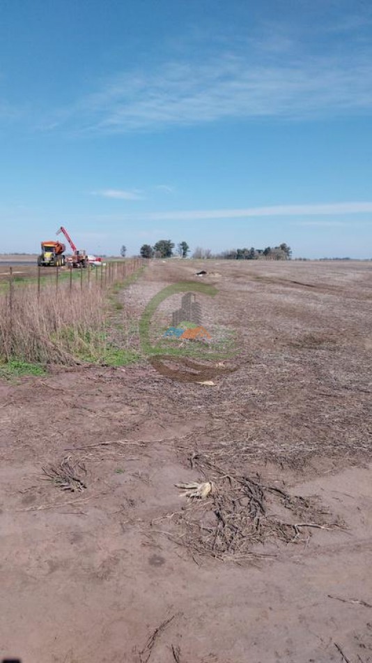 93 Ha Agricolas - 25 de Mayo 