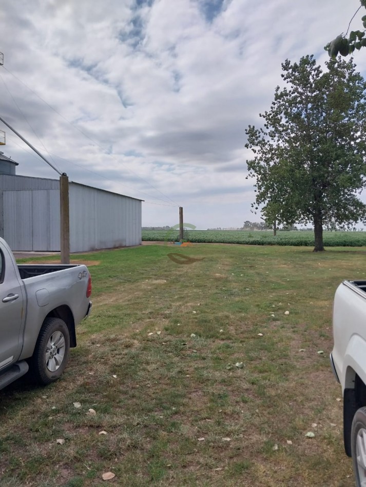 515 ha MIxtas - Pergamino