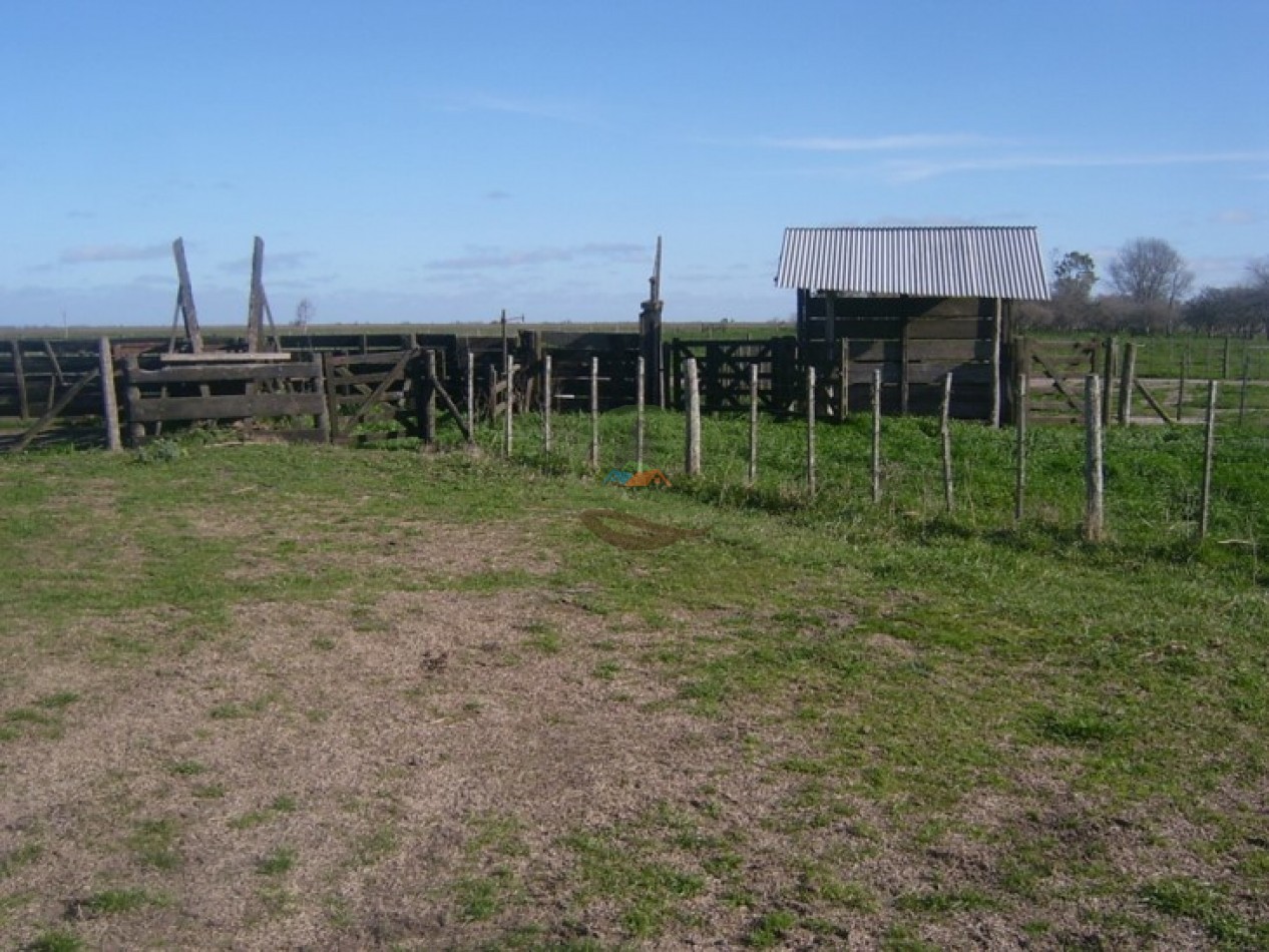 512 Ha Mixto - Gral. Lavalle