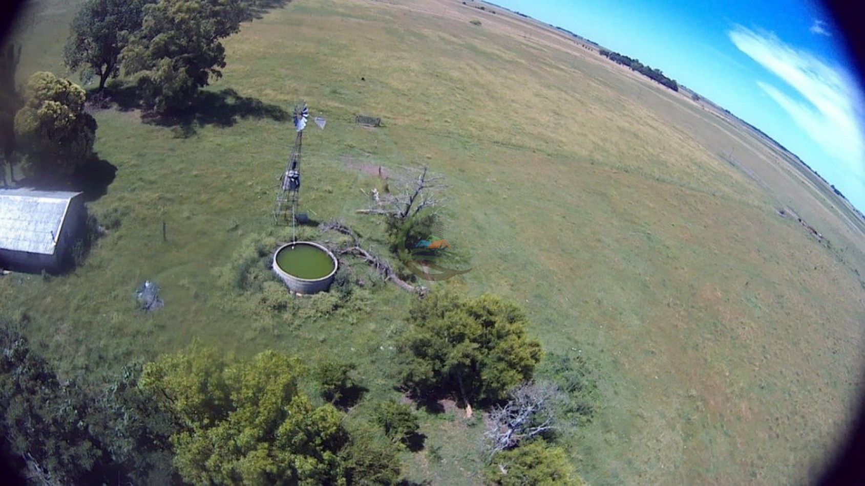 302 Ha Ganadero - Comandante Giribone - Chascomus