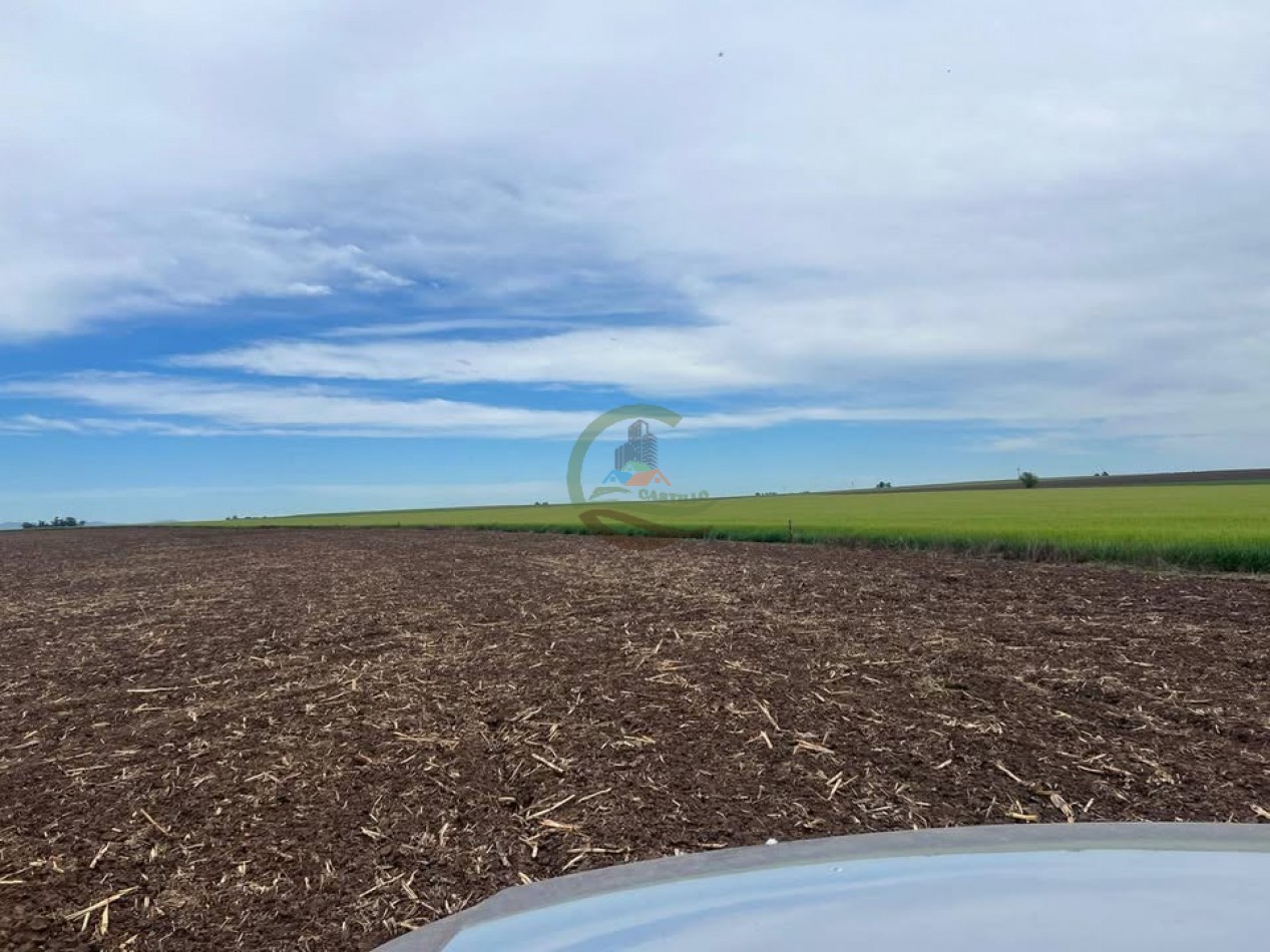 865 Ha Agricolas - Pasman - Coronel Suarez