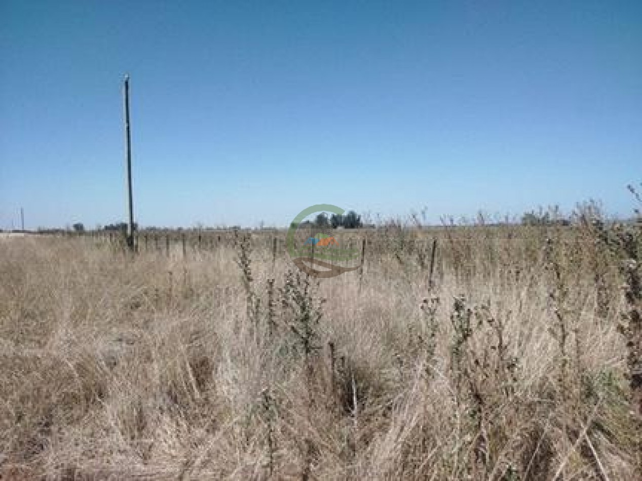 43 Ha mixto - Olavarria