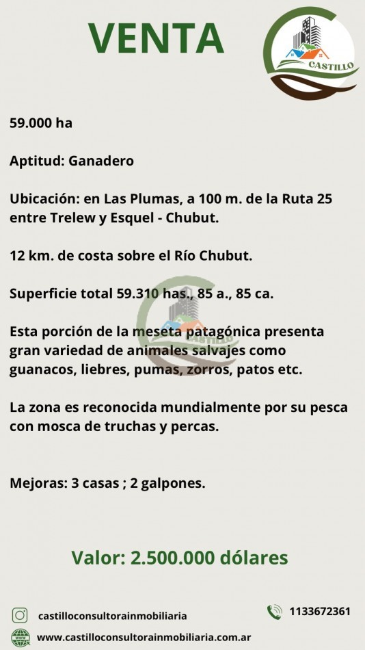 59000 ha Ganadero - Chubut