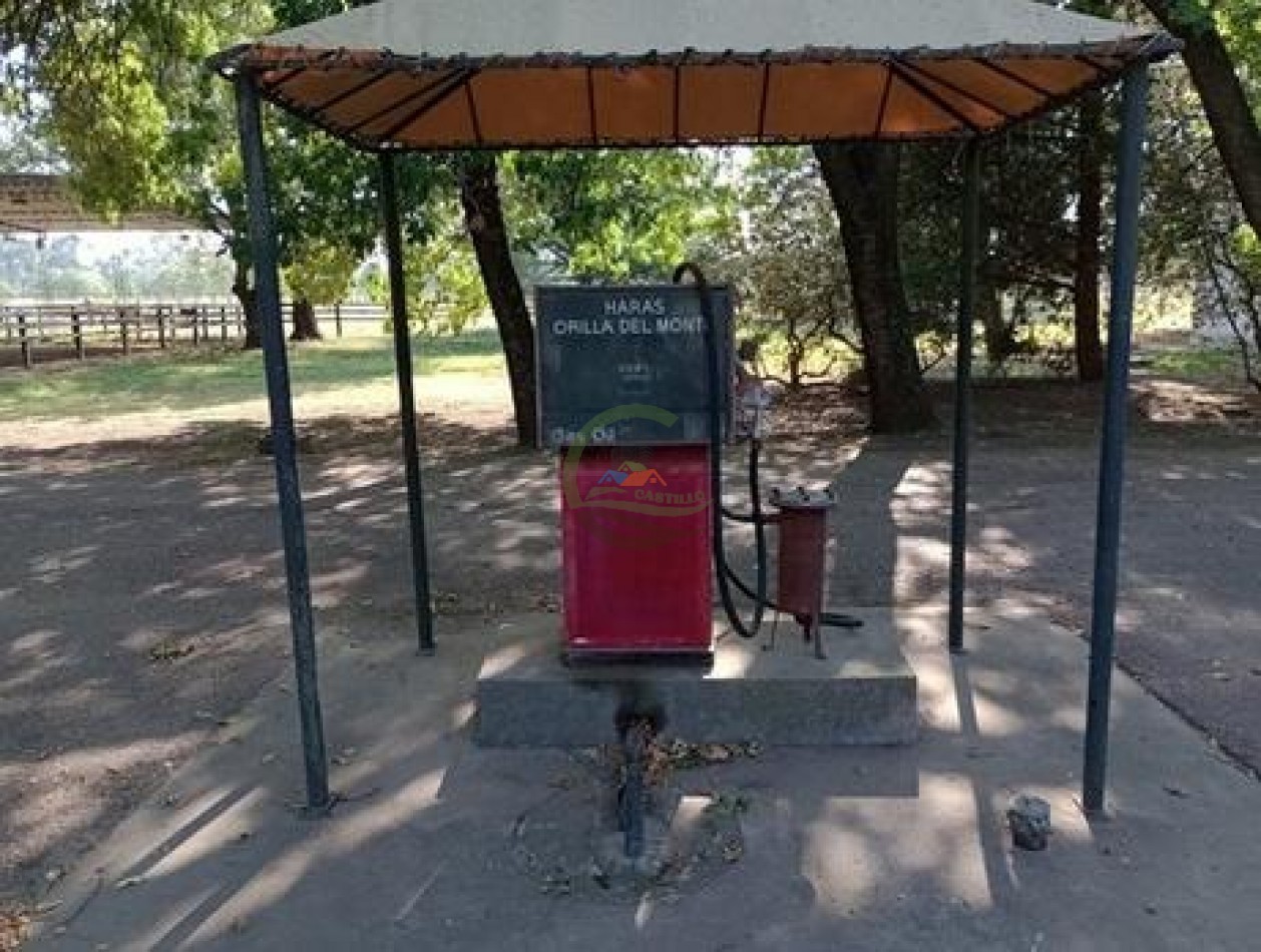 60 ha Haras - San Andres de Giles